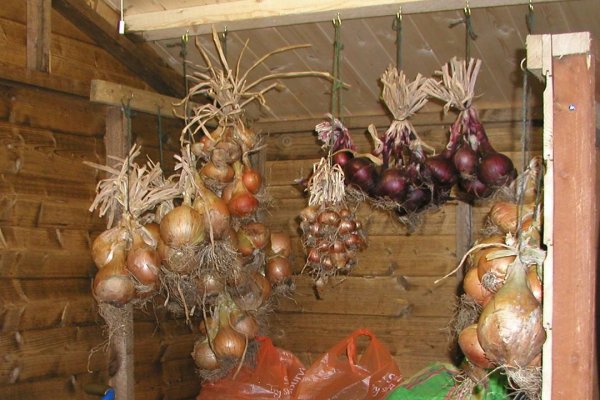 Кракен площадка ссылка