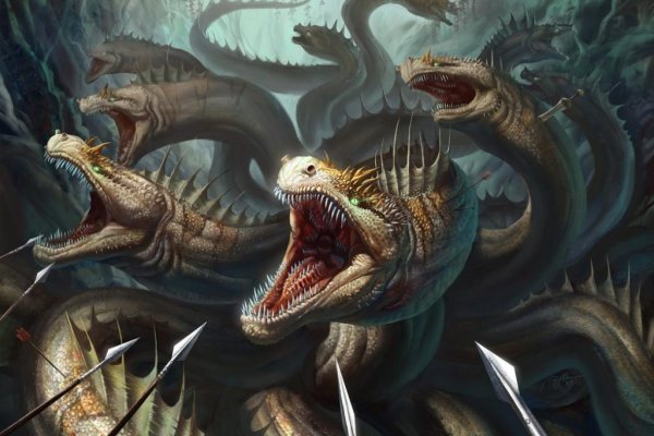 Kraken 20at net