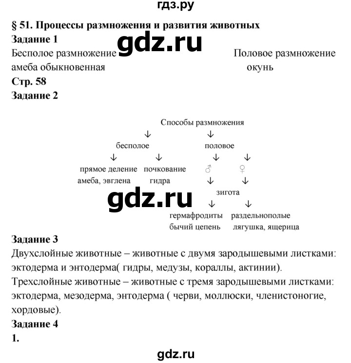 Кракен даркнет текст