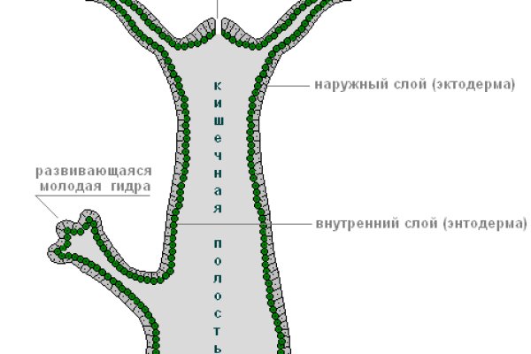 Регистрация на сайте кракен