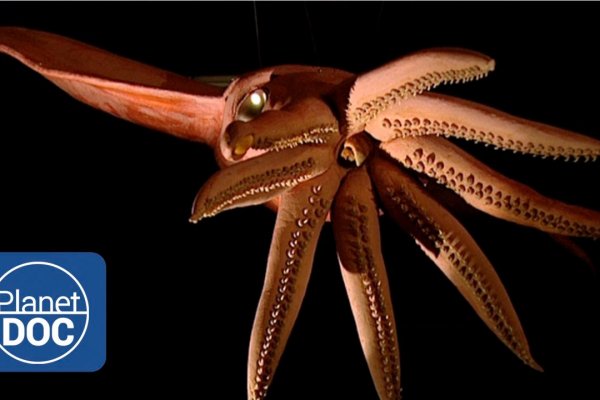 Kraken наркотики сайт